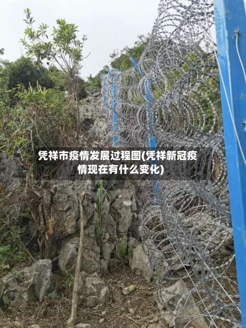 凭祥市疫情发展过程图(凭祥新冠疫情现在有什么变化)-第1张图片