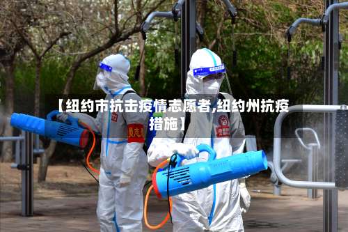 【纽约市抗击疫情志愿者,纽约州抗疫措施】-第3张图片