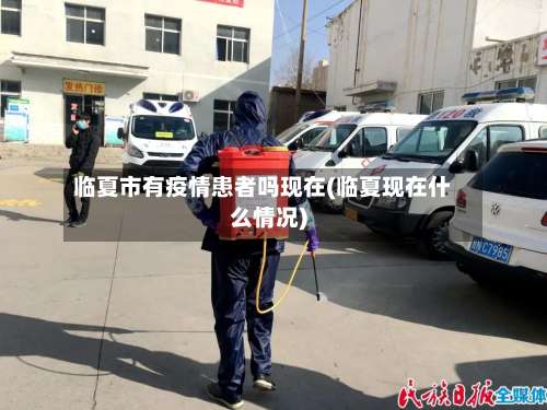 临夏市有疫情患者吗现在(临夏现在什么情况)-第1张图片