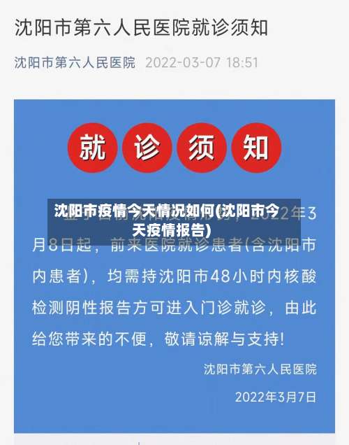 沈阳市疫情今天情况如何(沈阳市今天疫情报告)-第2张图片