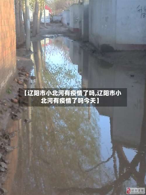 【辽阳市小北河有疫情了吗,辽阳市小北河有疫情了吗今天】-第1张图片