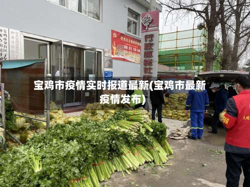 宝鸡市疫情实时报道最新(宝鸡市最新疫情发布)-第3张图片