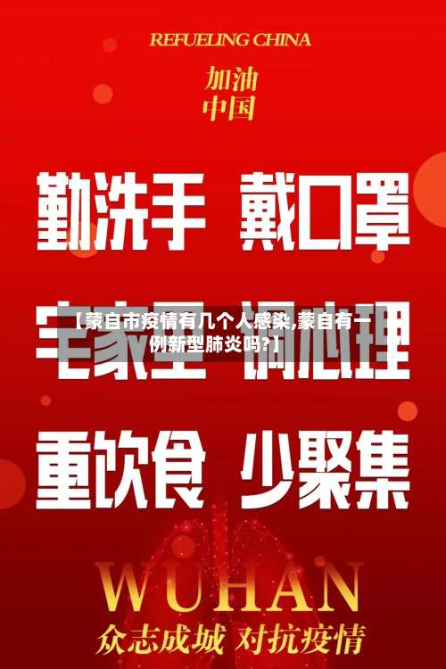 【蒙自市疫情有几个人感染,蒙自有一例新型肺炎吗?】-第2张图片