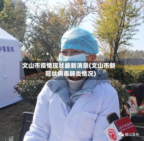 文山市疫情现状最新消息(文山市新冠状病毒肺炎情况)-第1张图片
