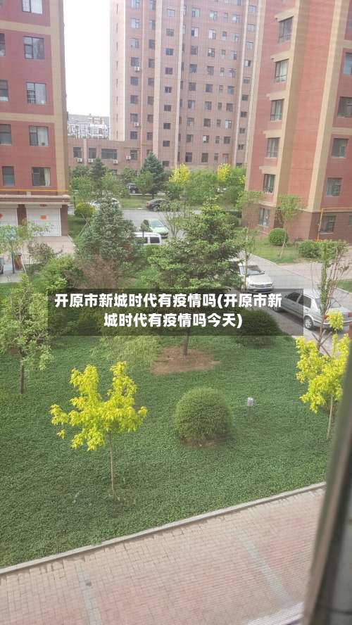 开原市新城时代有疫情吗(开原市新城时代有疫情吗今天)-第3张图片