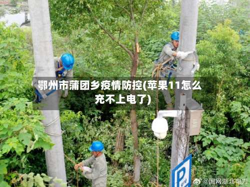 鄂州市蒲团乡疫情防控(苹果11怎么充不上电了)-第2张图片