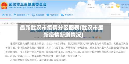 最新武汉市疫情分区图表(武汉市最新疫情新增情况)-第1张图片