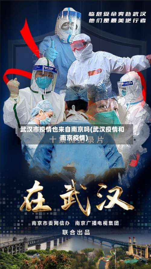 武汉市疫情也来自南京吗(武汉疫情和南京疫情)-第2张图片