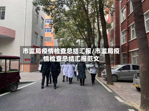 市监局疫情检查总结汇报/市监局疫情检查总结汇报范文-第2张图片