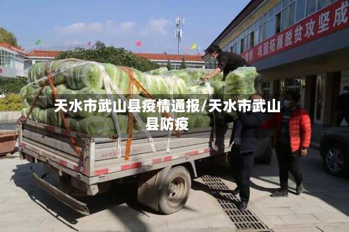 天水市武山县疫情通报/天水市武山县防疫-第2张图片