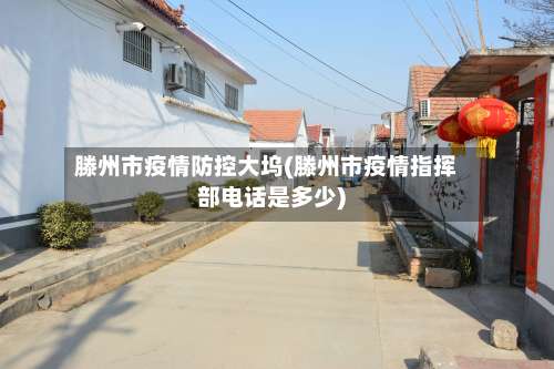 滕州市疫情防控大坞(滕州市疫情指挥部电话是多少)-第1张图片