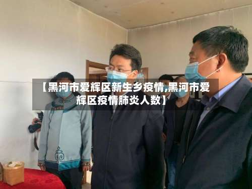 【黑河市爱辉区新生乡疫情,黑河市爱辉区疫情肺炎人数】-第1张图片