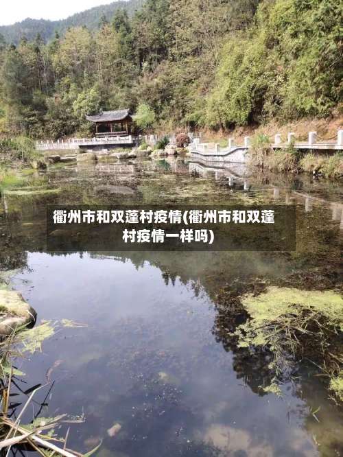 衢州市和双蓬村疫情(衢州市和双蓬村疫情一样吗)-第1张图片