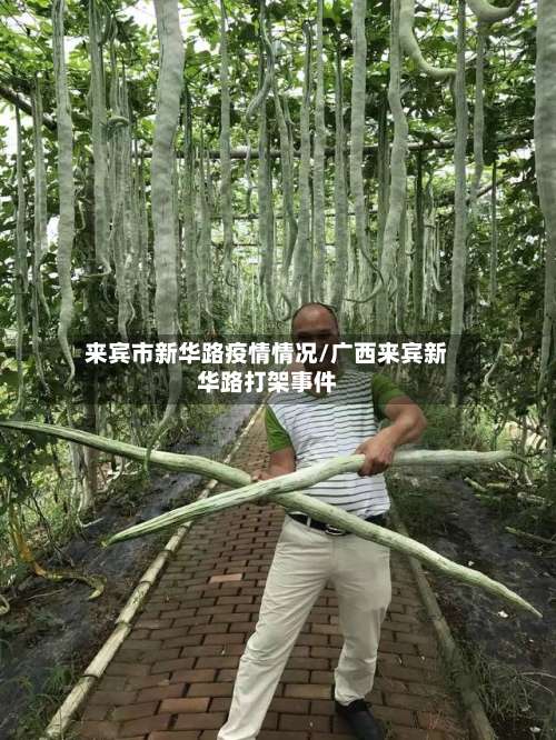 来宾市新华路疫情情况/广西来宾新华路打架事件-第1张图片