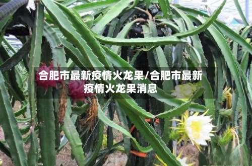 合肥市最新疫情火龙果/合肥市最新疫情火龙果消息-第1张图片