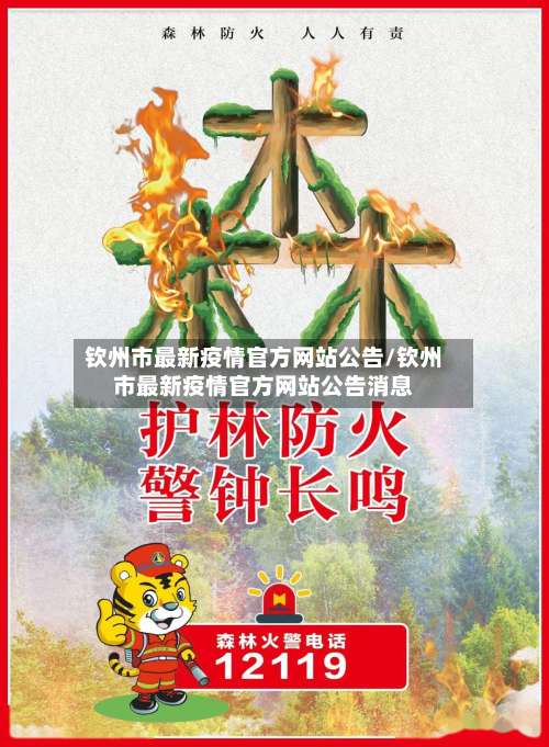 钦州市最新疫情官方网站公告/钦州市最新疫情官方网站公告消息-第1张图片