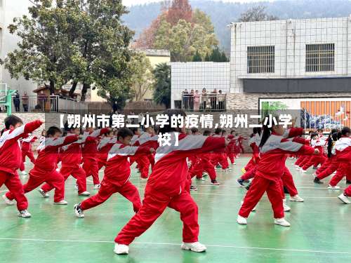 【朔州市第二小学的疫情,朔州二小学校】-第1张图片