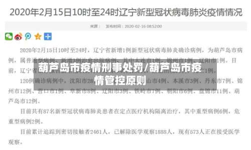 葫芦岛市疫情刑事处罚/葫芦岛市疫情管控原则-第1张图片
