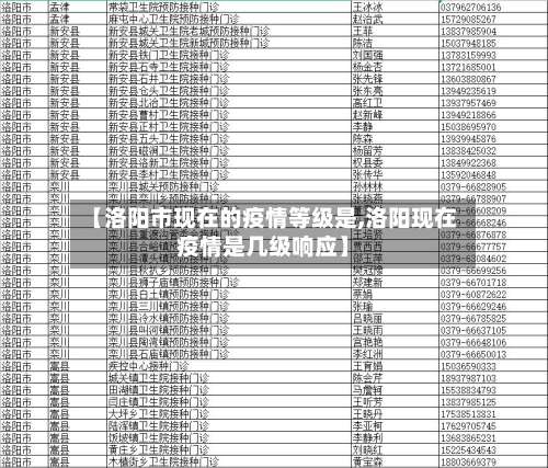 【洛阳市现在的疫情等级是,洛阳现在疫情是几级响应】-第2张图片
