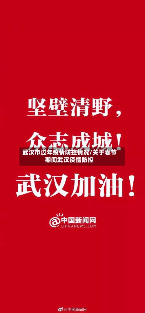 武汉市过年疫情防控情况/关于春节期间武汉疫情防控-第1张图片