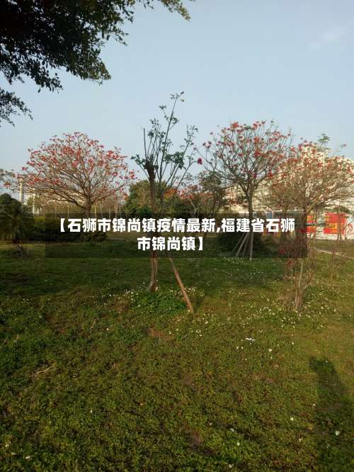 【石狮市锦尚镇疫情最新,福建省石狮市锦尚镇】-第1张图片