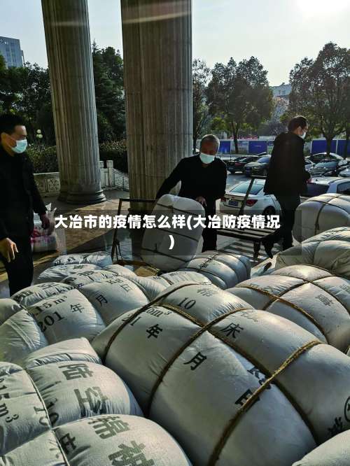 大冶市的疫情怎么样(大冶防疫情况)-第1张图片