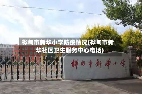 桦甸市新华小学防疫情况(桦甸市新华社区卫生服务中心电话)-第1张图片