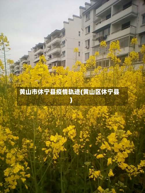 黄山市休宁县疫情轨迹(黄山区休宁县)-第1张图片