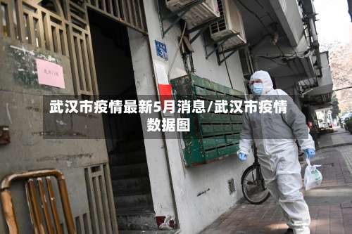 武汉市疫情最新5月消息/武汉市疫情数据图-第1张图片