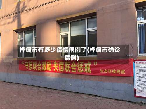 桦甸市有多少疫情病例了(桦甸市确诊病例)-第1张图片