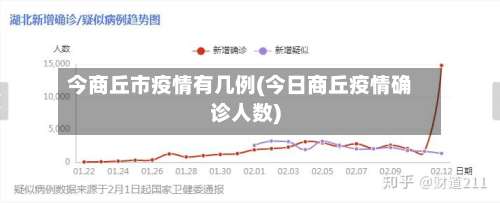 今商丘市疫情有几例(今日商丘疫情确诊人数)-第3张图片