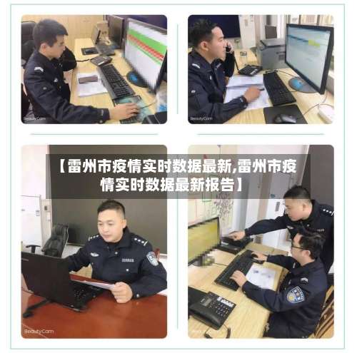 【雷州市疫情实时数据最新,雷州市疫情实时数据最新报告】-第3张图片