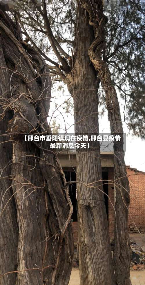 【邢台市垂阳镇现在疫情,邢台县疫情最新消息今天】-第2张图片