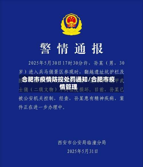 合肥市疫情防控处罚通知/合肥市疫情管理-第1张图片