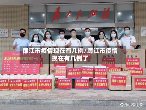 廉江市疫情现在有几例/廉江市疫情现在有几例了-第2张图片