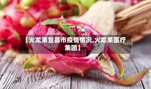 【火龙果宜昌市疫情情况,火龙果医疗集团】-第1张图片