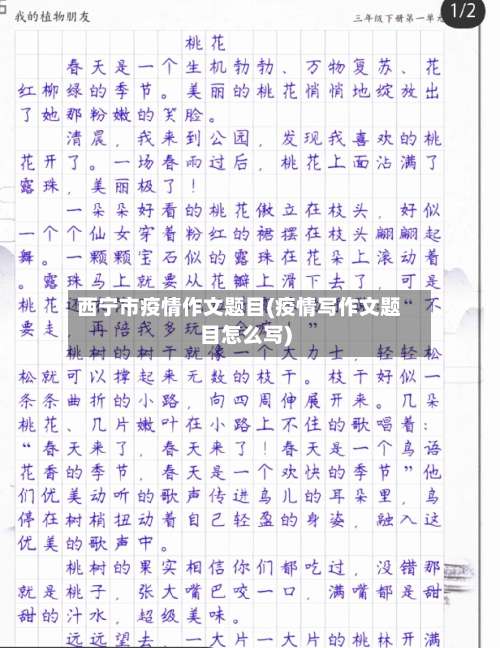 西宁市疫情作文题目(疫情写作文题目怎么写)-第1张图片