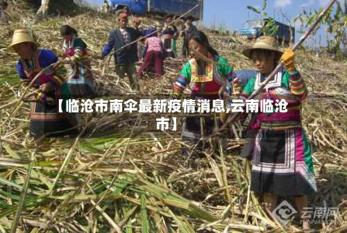 【临沧市南伞最新疫情消息,云南临沧市】-第2张图片