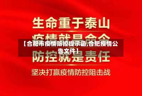 【合肥市疫情防控提示函,合肥疫情公告文件】-第3张图片