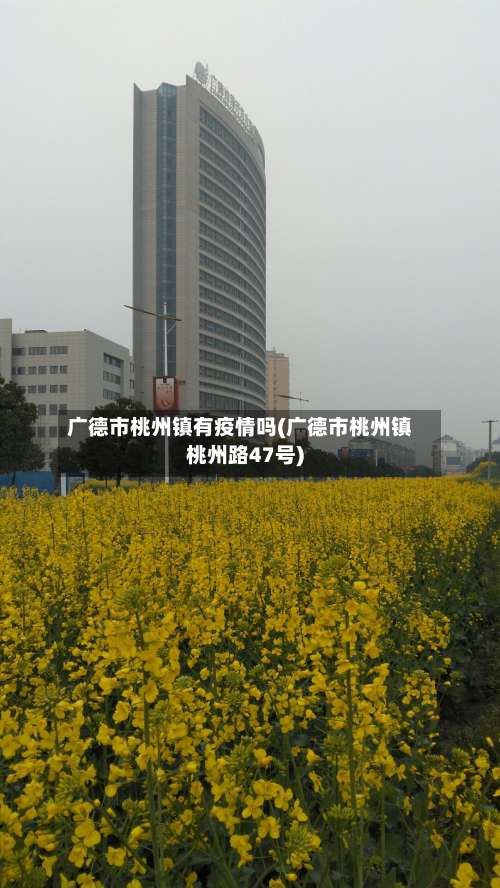 广德市桃州镇有疫情吗(广德市桃州镇桃州路47号)-第1张图片