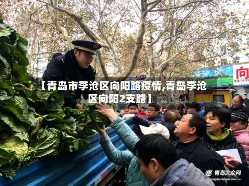 【青岛市李沧区向阳路疫情,青岛李沧区向阳2支路】-第1张图片