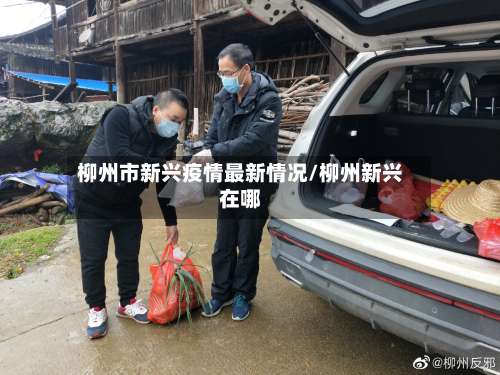 柳州市新兴疫情最新情况/柳州新兴在哪-第1张图片