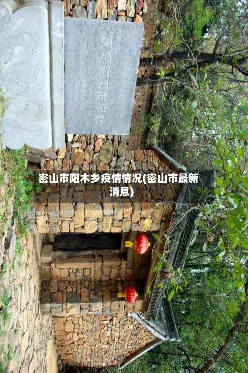 密山市阳木乡疫情情况(密山市最新消息)-第3张图片