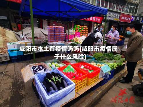 咸阳市本土有疫情吗吗(咸阳市疫情属于什么风险)-第3张图片