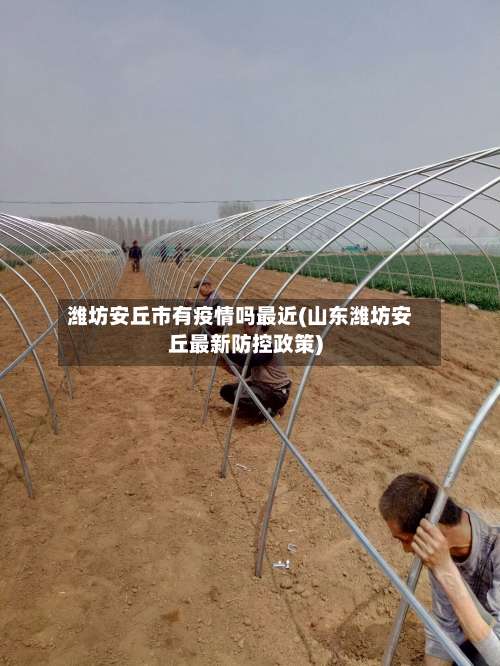 潍坊安丘市有疫情吗最近(山东潍坊安丘最新防控政策)-第1张图片