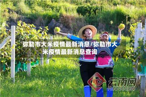 弥勒市大米疫情最新消息/弥勒市大米疫情最新消息查询-第2张图片