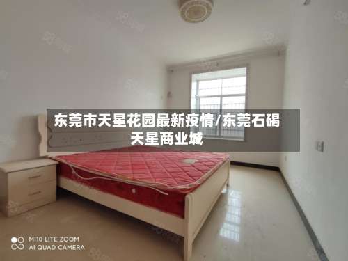 东莞市天星花园最新疫情/东莞石碣天星商业城-第2张图片