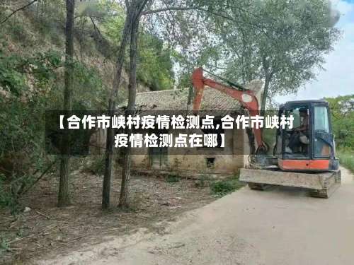 【合作市峡村疫情检测点,合作市峡村疫情检测点在哪】-第2张图片