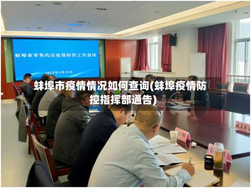 蚌埠市疫情情况如何查询(蚌埠疫情防控指挥部通告)-第3张图片