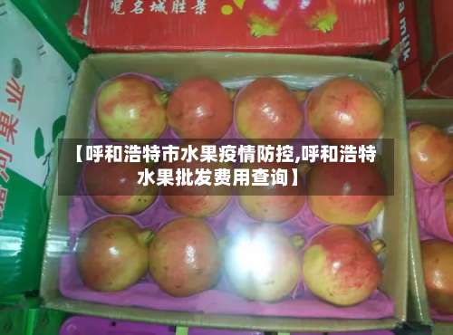【呼和浩特市水果疫情防控,呼和浩特水果批发费用查询】-第1张图片